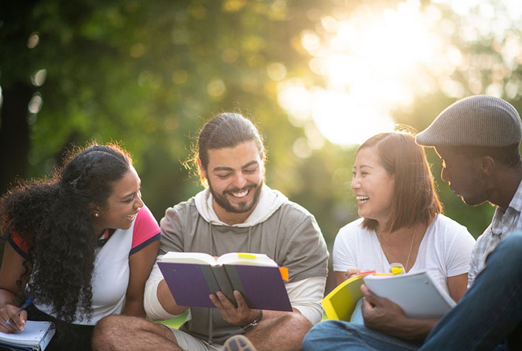  Four students with notebooks sitting on the lawn under a tree with the sun shining through the tree branches.